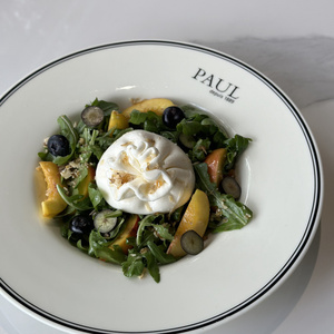 Shaftoli bilan burrata salatasi