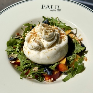 Shaftoli bilan burrata salati